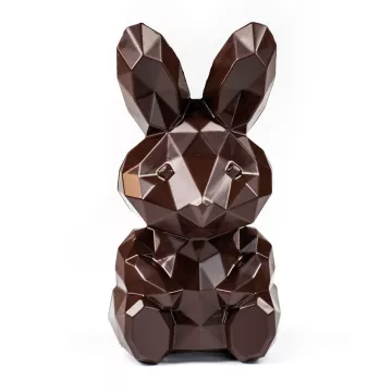 Moule chocolat lapin diamant - Roger-130 gr