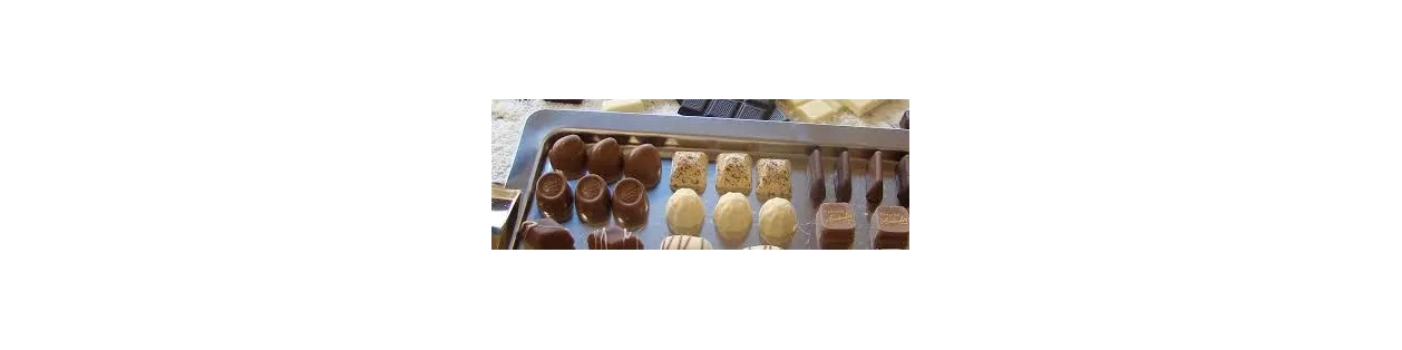 Tempéreuse chocolat et enrobeuse professionnelle | Boulangerie, Pâtisserie Suisse